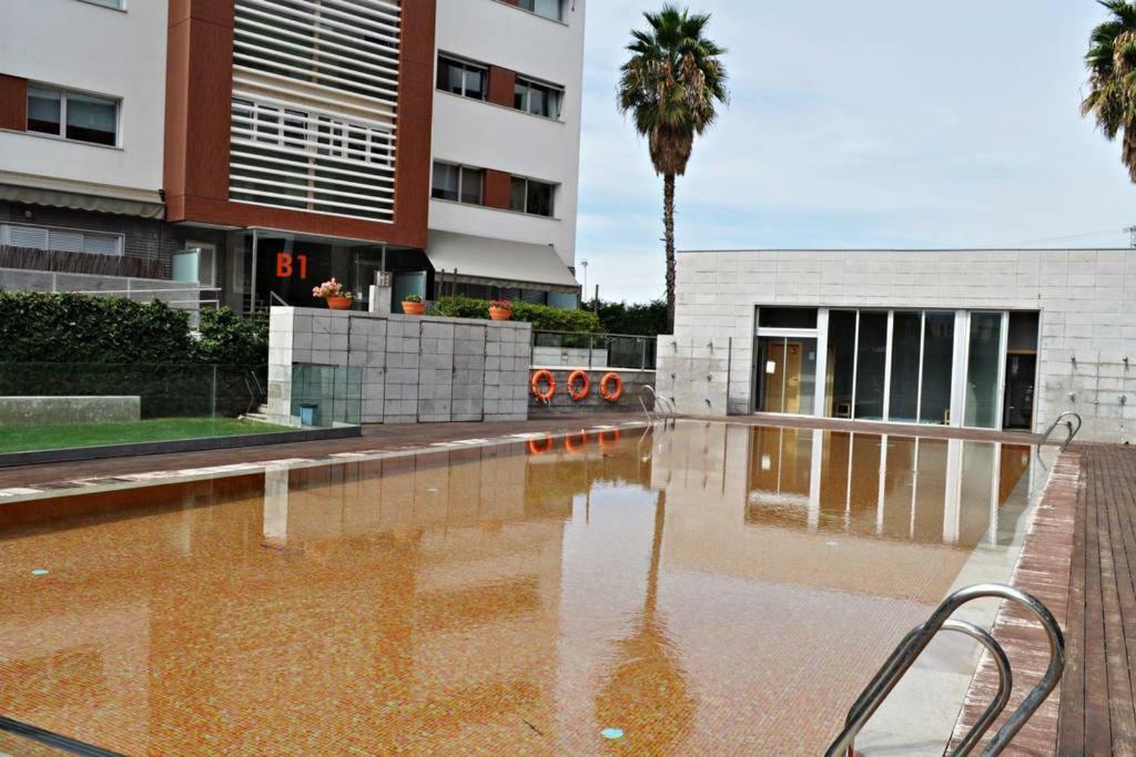 Vivecampus * Granada